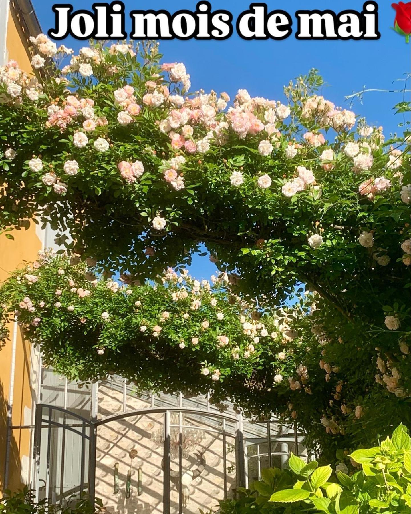 Chambres D'Hotes La Borderie Du Go Pres De La Rochelle - Nieul ภายนอก รูปภาพ